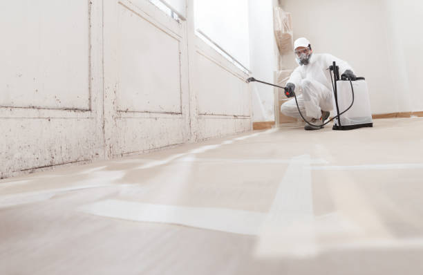 24/7 Emergency Mold Removal experts in West Roxbury, MA